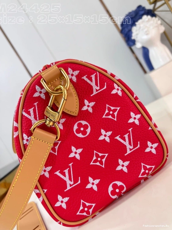 FS CHEAP 25 SPEEDY Louis Vuitton 0724